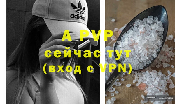 гидра Зеленокумск