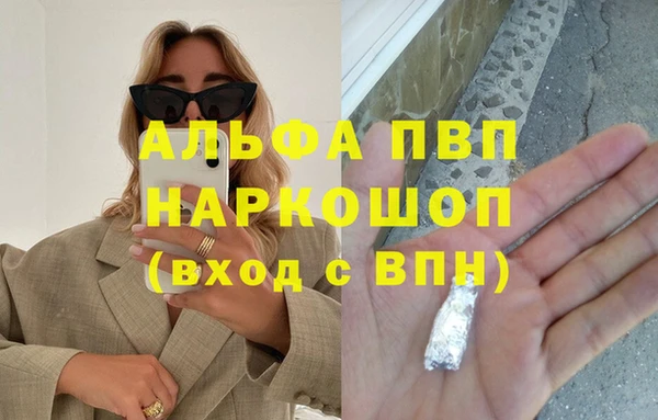 гидра Зеленокумск