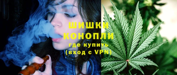 гидра Зеленокумск