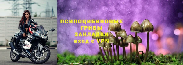 прущие крисы Зеленодольск