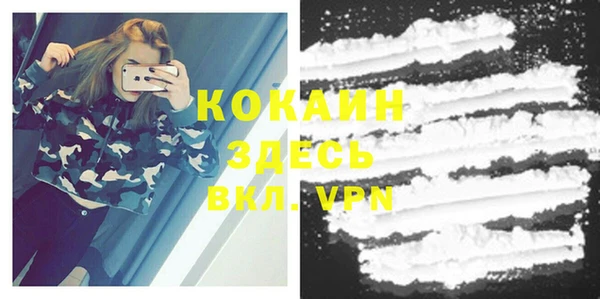 гидра Зеленокумск