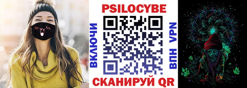 Купить где  Сусуман  Галлюциногенные грибы Magic Shrooms 